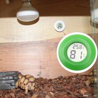 Digitale ronde gevormde Reptile vak heeft Thermometer & Hygrometer met Screen Display (groen)