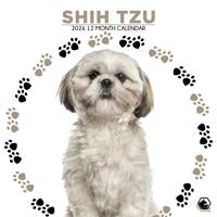 Shih Tzu Kalender 2026