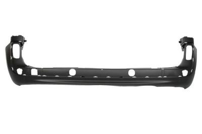 Bumper 5506006011952P