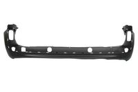 Bumper 5506006011952P