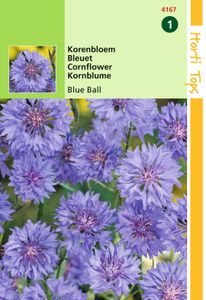 Centaurea cyanus dubbelbloemig Blue Ball - Hortitops