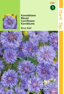 Centaurea cyanus dubbelbloemig Blue Ball - Hortitops