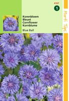 Centaurea cyanus dubbelbloemig Blue Ball - Hortitops Centaurea cyanus dubbelbloemig Blue Ball - Hortitops