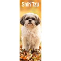 Shih Tzu Kalender 2026 Slimline