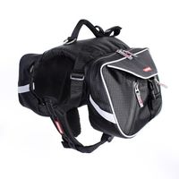 Summit Backpack