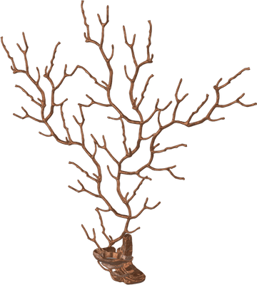 Serip - Sea Fan wandlamp