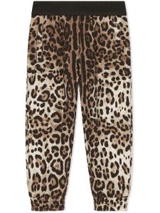 Dolce & Gabbana Kids pantalon de jogging à imprimé léopard - Marron