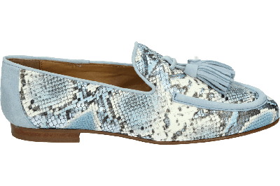 Pedro Miralles 18437 SUPREME - alle Pedro Miralles 18437 SUPREME - alle