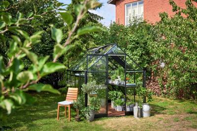 Tuinkas Qube 68, zwart, veiligheidsglas 3mm/1 - Royal well