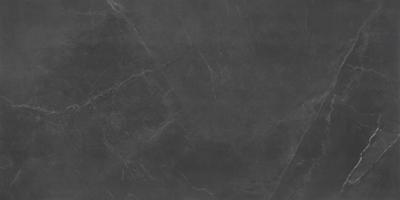 Stonemood Steel 60x120 rect