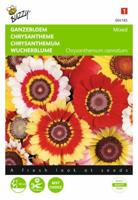Chrysanthemum Carinatum Gemengd - Buzzy