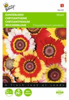 Chrysanthemum Carinatum Gemengd - Buzzy