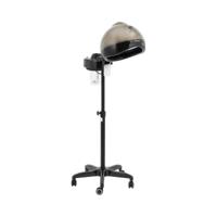 Haarstomer - met statief - 750 W - timer - 0,75 l