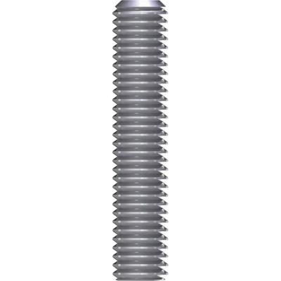 Reisser 2955 Draadeind M12 100 mm RVS 1 stuk(s)