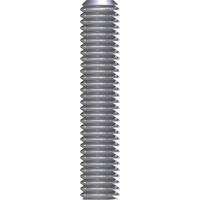 Reisser 2955 Draadeind M12 100 mm RVS 1 stuk(s)