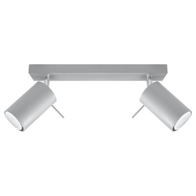Plafondlamp RING 2 grijs