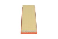 AMC Filter Lucht TA1161