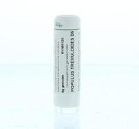 Homeoden Heel Populus tremuloides D6 6 Gram