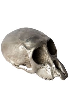 Parts of Four sculpture Monkey Skull - Argent