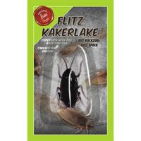 Nep kakkerlak bewegend - pull back - fopartikelen - kunststof - Horror insecten