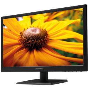 Hanns.G HL205DPB - 20 inch - 1600x900 - DVI - VGA - Zwart