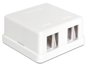 DeLOCK Keystone Surface Mounted Box 2 Port behuizing