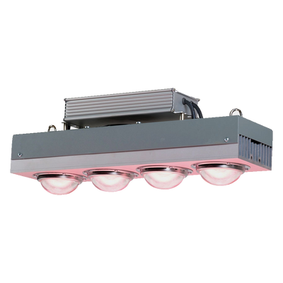 Spectro Light Spectro Light | BLAST 400