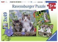 Ravensburger puzzel 3x49 stukjes jonge katjes - thumbnail