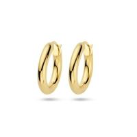 18k Geelgouden Oorringen met Buis - 4 mm, 21 mm
