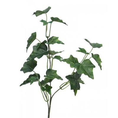 Ivy Chicago Tak 55 cm kunsthangplant Erutan Avon - Erutan avon