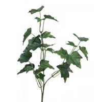 Ivy Chicago Tak 55 cm kunsthangplant Erutan Avon - Erutan avon