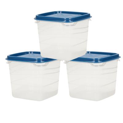 Hega Hogar Voorraad - vershoudbakjes - 6x stuks - transparant/blauw - kunststof - 0,3 liter