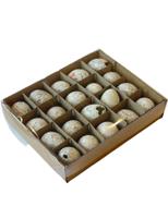 Kwartelei wit wash 20st HBX Deco - Hbx deco