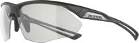 Alpina nylos hr - sports glasses