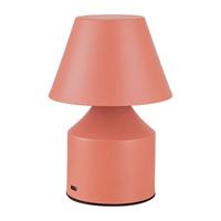 Bureaulamp Fbright Roze 2 W