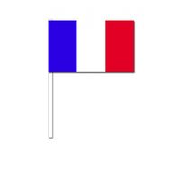 Zwaaivlaggetjes Frankrijk 12 x 24 cm - thumbnail