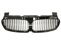 Radiateurgrille 6502070076992P