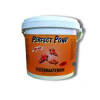 Perfect Pond Filterbacteriën 2500 gr voor Heldere Vijver & Stabiel Ecosysteem - Biologische Balans