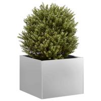 VidaXL Plantenbak 40x40x30 cm gegalvaniseerd staal