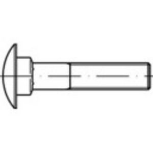 TOOLCRAFT 1061466 Platbolschroef M16 120 mm Vierkant DIN 603 RVS A2 25 stuk(s)