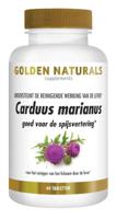 Carduus marianus - thumbnail