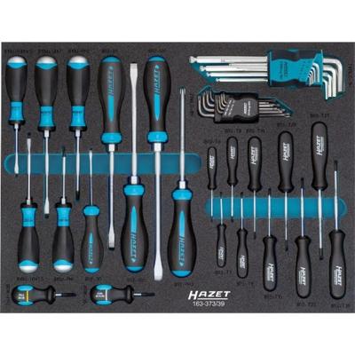 HAZET Schroevendraaierset 163-373/39 - Sleufprofiel, Kruiskop profiel PH, Binnen-TORX®-profiel, Binnen-zeskant-profiel - 39-delig - 0,6 x 3,5 - 2 x 12
