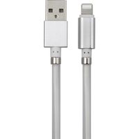 Renkforce USB-kabel USB 2.0 USB-C stekker, Apple Lightning stekker 2.00 m Wit TO-6897015 - thumbnail