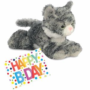 Pluche knuffel kat/poes grijs/witte 20 cm met A5-size Happy Birthday wenskaart