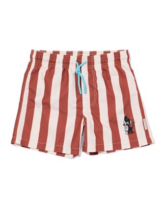 HEMA Takkie kinderzwembroek strepen bruin (bruin)