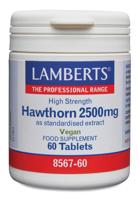 Crataegus 2500mg (hawthorn) 60 Tabletten