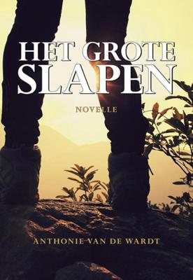 Het grote slapen (Paperback)