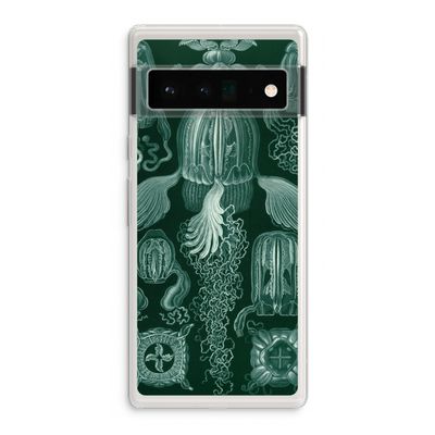 Haeckel Cubomedusae: Google Pixel 6 Pro Transparant Hoesje
