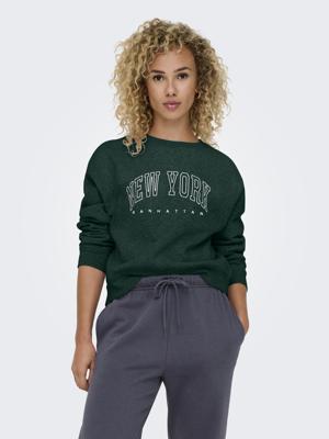Only Onlsweat Life L/s Crew O.size State Noos Sweater Pine Grove New York