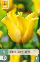 Tulp Yellow crown 5 bollen